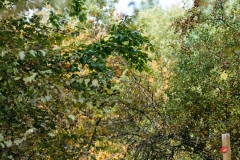 agora-red-rock-challenge-2025-saturday-11-10-Li-Bund-00048
