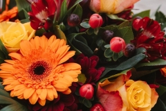 agora-red-rock-challenge-2025-sunday-12-10-Tobias-Steffgen-00100